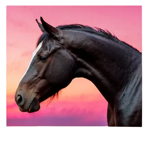 Black Horse With Pink Sunset Png 06262024 PNG Image