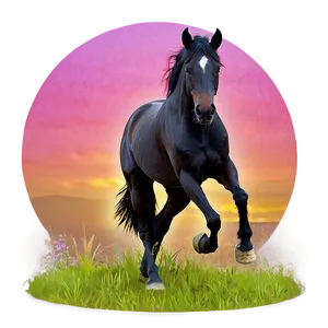 Black Horse With Pink Sunset Png Bus28 PNG Image