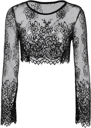 Black Lace Crop Top PNG Image