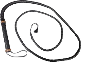 Black Leather Braided Whip PNG Image