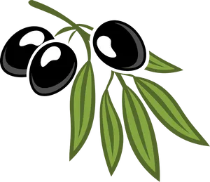 Black Olives Branch Illustration PNG Image