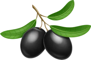 Black Oliveswith Leaves Illustration PNG Image