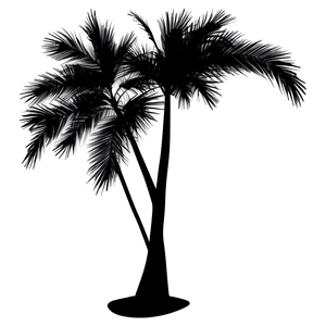 Black Palm Tree On Transparent Background Png Kad PNG Image