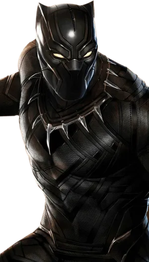 Black Panther Costume Portrait PNG Image