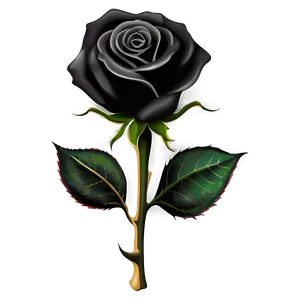 Black Rose Clipart Png 96 PNG Image