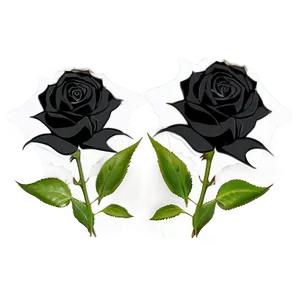 Black Roses Design Png 06212024 PNG Image