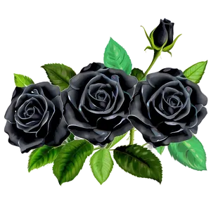 Black Roses Garden Png 06212024 PNG Image