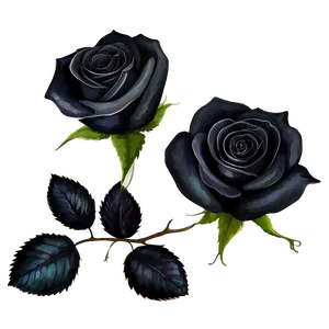 Black Roses Watercolor Png Upq PNG Image