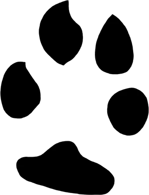 Black Screen Empty Texture PNG Image