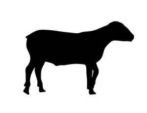 Black Sheep Silhouette PNG Image