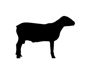 Black Silhouetteof Sheep PNG Image