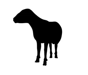 Black Silhouetteof Sheep PNG Image