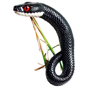 Black Snake With Red Eyes Png Rwl23 PNG Image