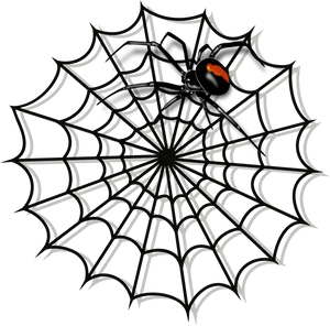 Black Spideron Web PNG Image