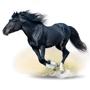 Black Stallion Running Wild Png Ihv34 PNG Image