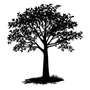 Black Tree Silhouette Landscape Png 66 PNG Image