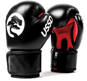 Black U S S D Boxing Gloves PNG Image