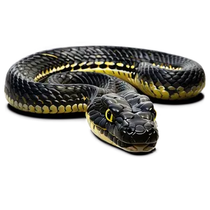 Black Viper Snake Illustration Png 43 PNG Image