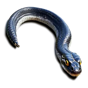 Black Viper Snake Illustration Png Cln98 PNG Image