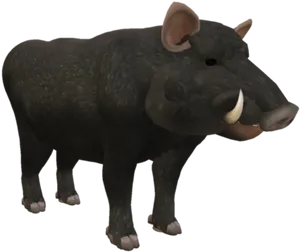 Black Wild Boar3 D Model PNG Image