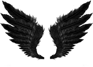 Black Wing Feathers Tattoo Design PNG Image