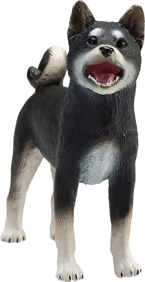 Blackand Tan Shiba Inu Model PNG Image