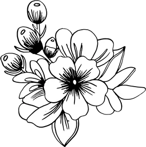 Blackand White Floral Illustration PNG Image