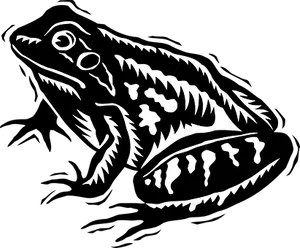 Blackand White Frog Illustration PNG Image