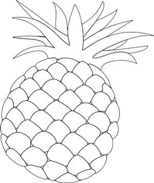 Blackand White Pineapple Drawing PNG Image