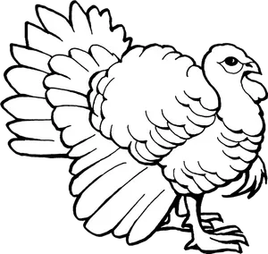 Blackand White Turkey Illustration PNG Image