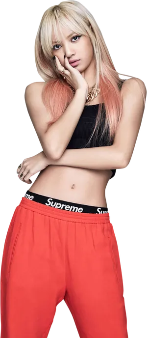 Blackpink Member Fashion Pose PNG Image