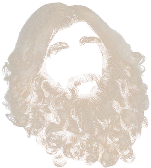 Blonde Curly Beard Illustration PNG Image