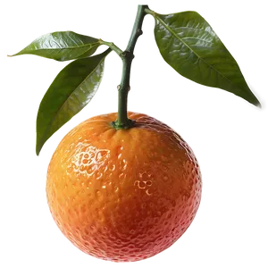 Blood Orange On Branch Png Tfb9 PNG Image