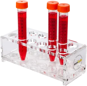 Blood Sample Tubesin Rack PNG Image