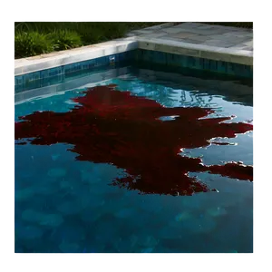 Bloody Pool Reflection Png Prd41 PNG Image