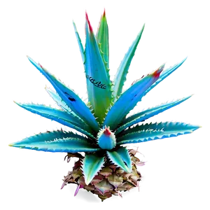 Blooming Agave Plant Png Gxr52 PNG Image