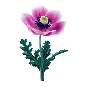 Blooming Anemone Png 86 PNG Image