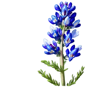 Blooming Bluebonnet Patch Png Fjt PNG Image