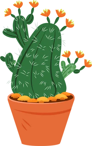 Blooming Cactus Illustration PNG Image