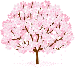 Blooming Cherry Blossom Tree PNG Image