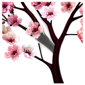 Blooming Cherry Blossoms PNG 05212024 PNG