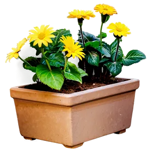 Blooming Flower Pots Png Wgc11 PNG Image