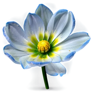 Blooming Flower Transparent Png 25 PNG Image