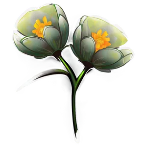 Blooming Flower Transparent Png Ikb PNG Image