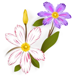 Blooming Flower Transparent Png Meu PNG Image