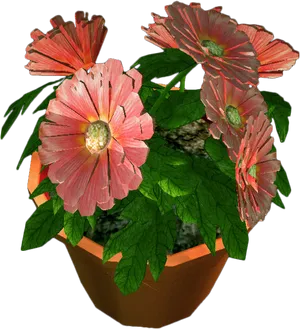 Blooming Flowersin Terracotta Pot PNG Image