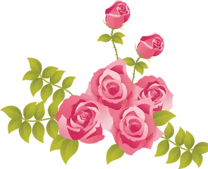 Blooming Pink Roses Vector PNG Image