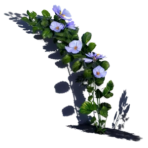 Blooming Plant Shadow Feature Png Cwt PNG Image