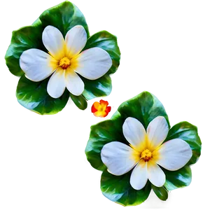 Blossom Petal Png Oxn PNG Image