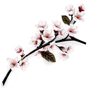 Blossom Print Illustration Png Bfb68 PNG Image